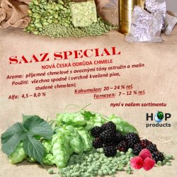 Nová česká odrůda Saaz Special